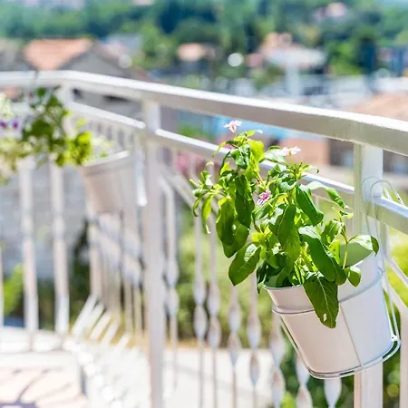 House Of Artichoke With Amazing Sea View, Dubrovnik Appartamento Mokošica